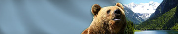 Tiere / Natur